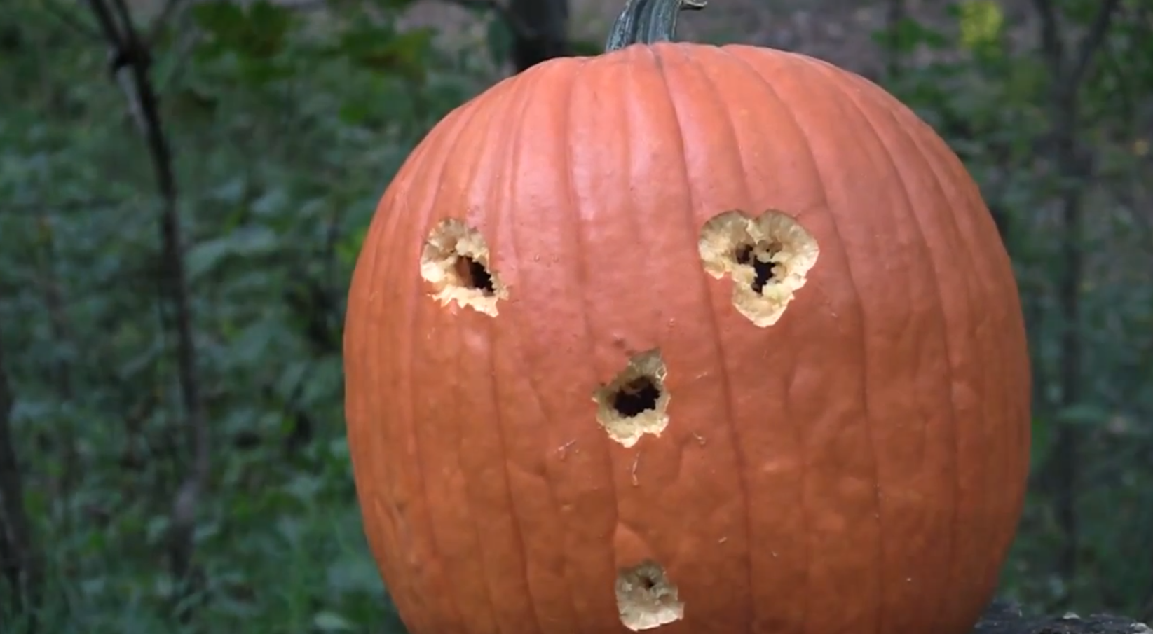 Pistol, Pumpa, Halloween
